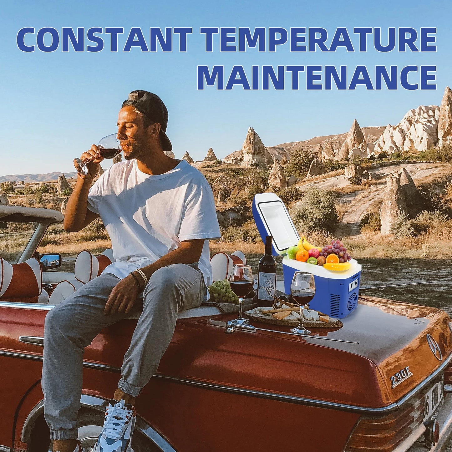 IceBlue Camping Portable Mini Fridge Dual Use Car Home