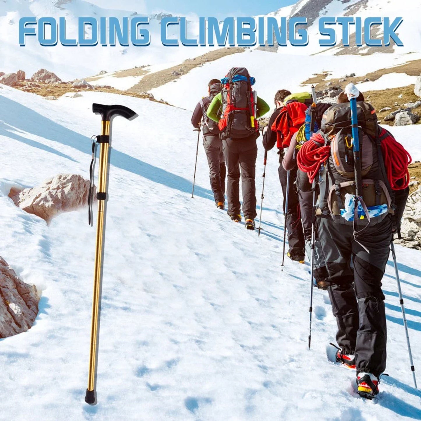 Pro Gear Sporting Goods Trekking Poles Adjustable Pack