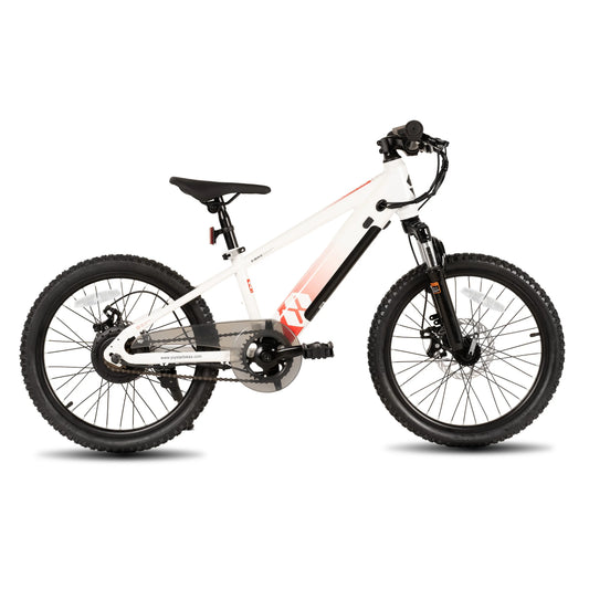 JOYSTAR Kids Electric Bike 250W 15 Mile Range 15 MPH