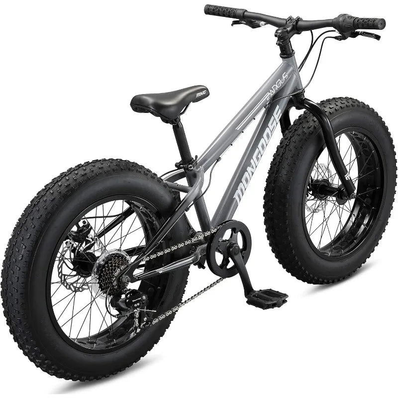 YTYIN Fat Tire Mountain Bike With Front Suspension System