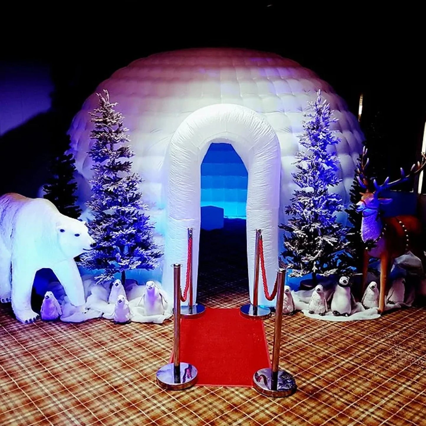 Pro Gear Sporting Goods Igloo Dome Tent With LED Light