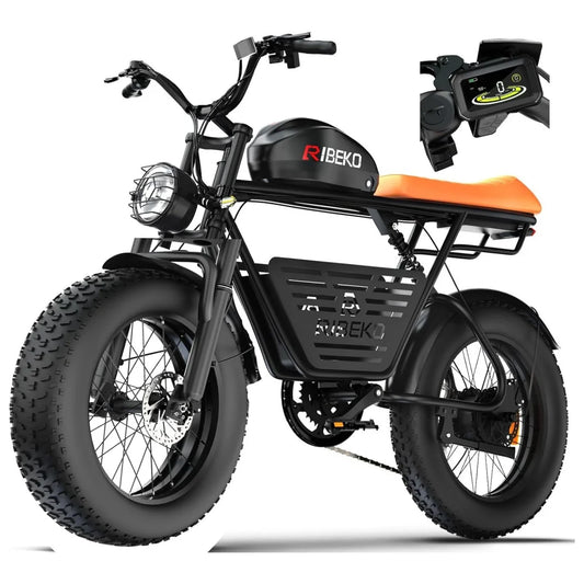 CT20Pro Dual Motor Electric Fat Tire Ebike Long Range